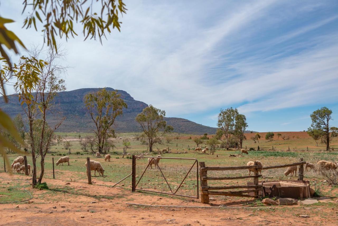 Rawnsley Park Station Hotel Flinders Ranges Exterior foto